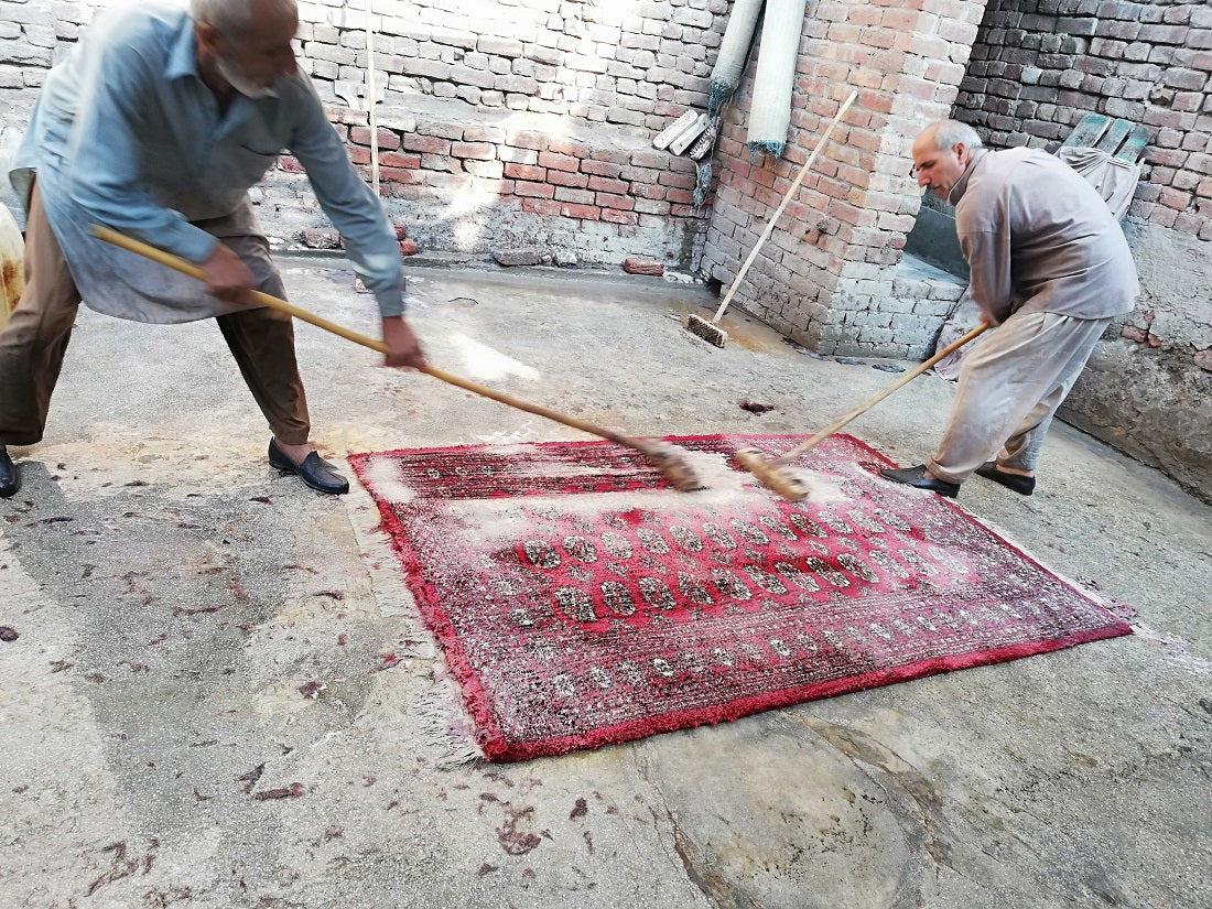Bokhara Red Rug - Individual
