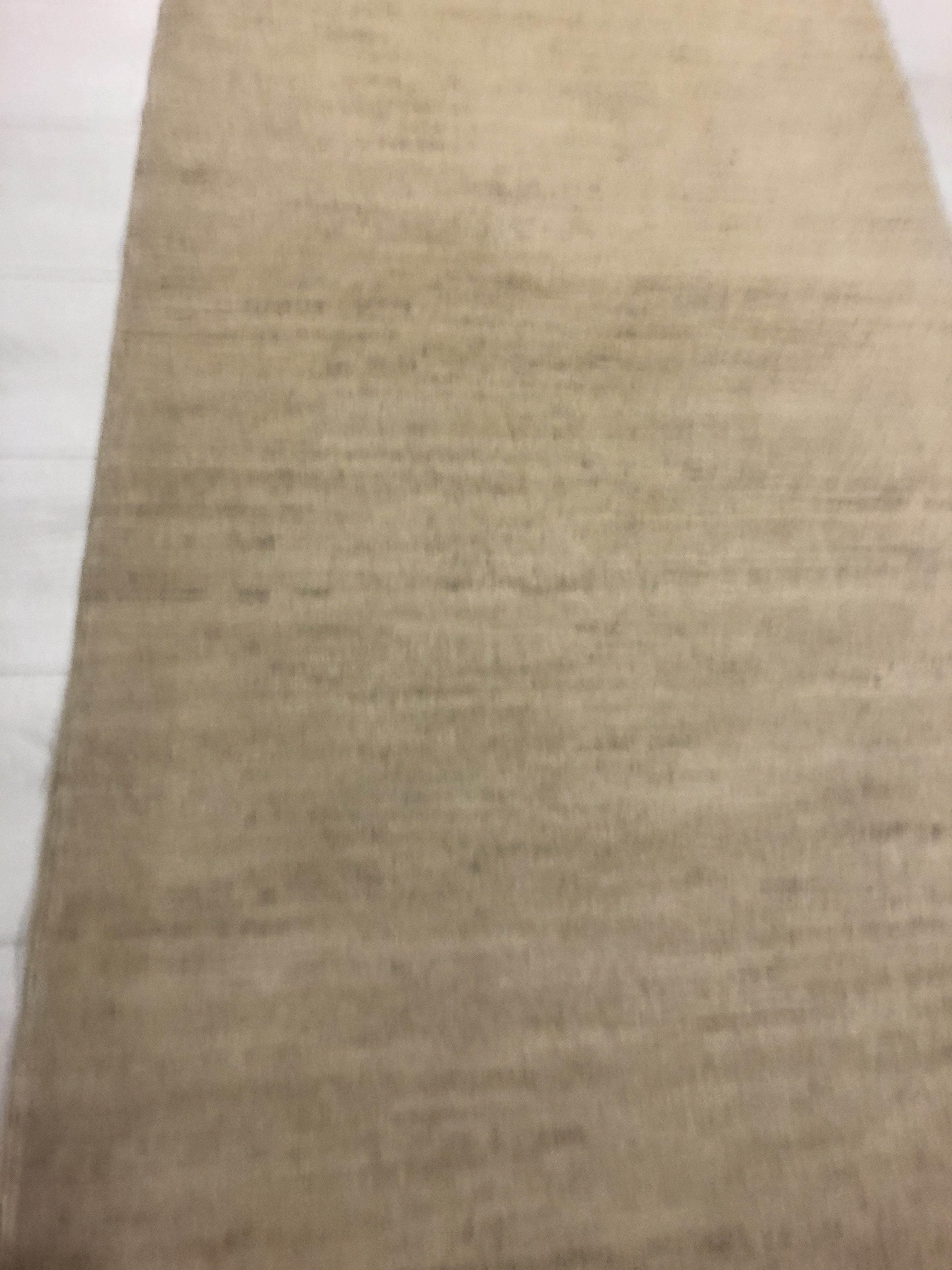 Natural Gabbeh Rug PC 42153 - 2.94m X 0.81m