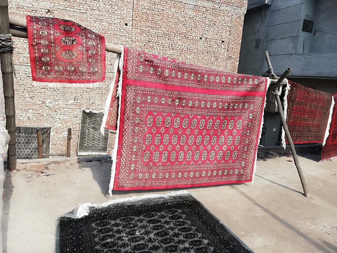 Bokhara Red Rug - Individual