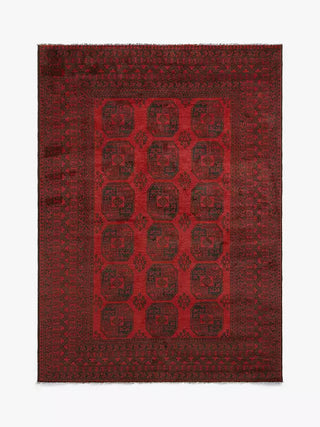 Red Afghan - Elephant Foot